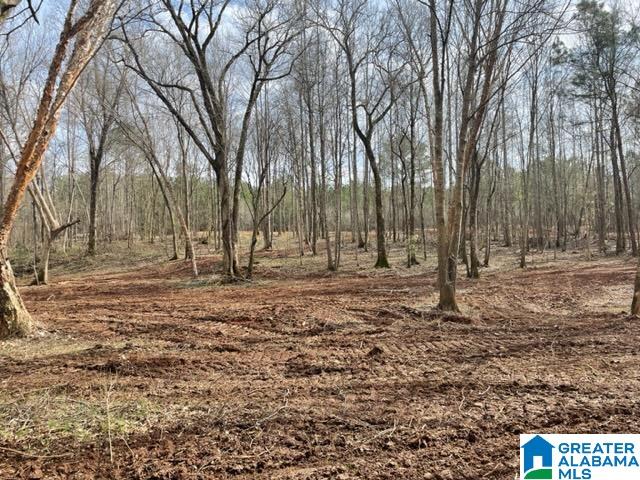 0 County Road 158, Unit 1 Lafayette, AL 36862 - Photo 2 of 19