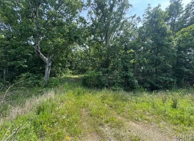 $59,900 | 7604 State Highway 32, Farmington, MO 63640