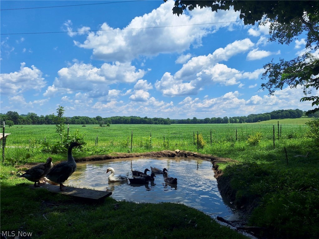 8087 Magnet Road Northeast Minerva, OH 44657 - Photo 10 of 15