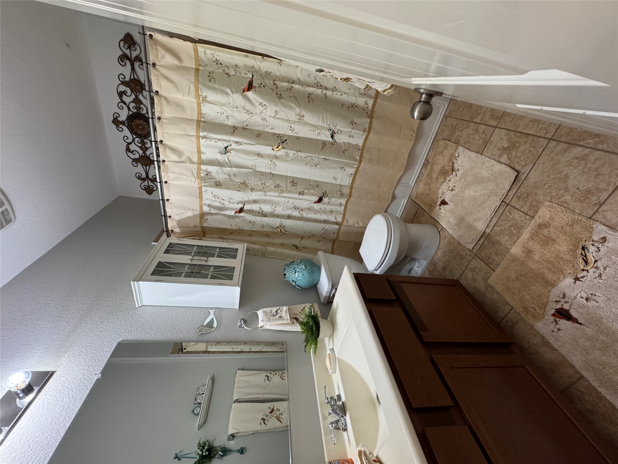 112 Eagle Owl Loop Leander, TX 78641 - Photo 14 of 17 Full bathroom with vanity and a textured wall