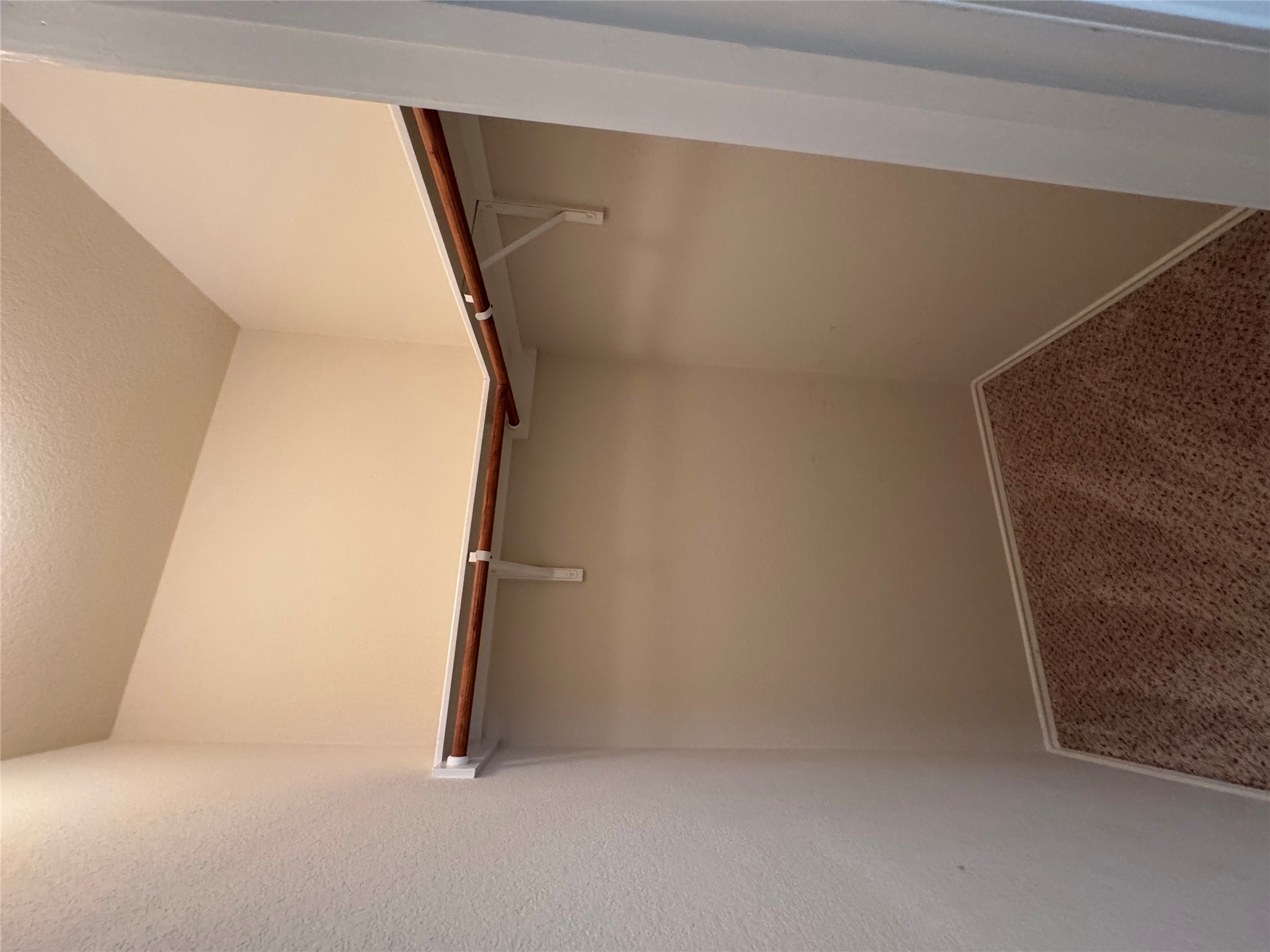 112 Eagle Owl Loop Leander, TX 78641 - Photo 9 of 17 Walk in closet with carpet