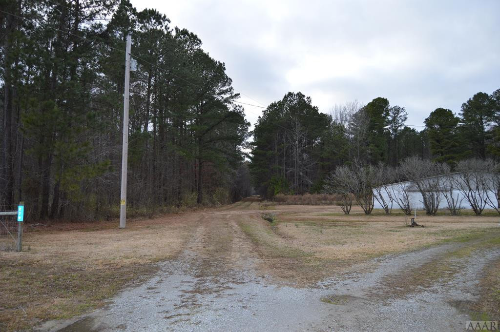 279 South Us Route Eure, NC 27935 - Photo 3 of 20