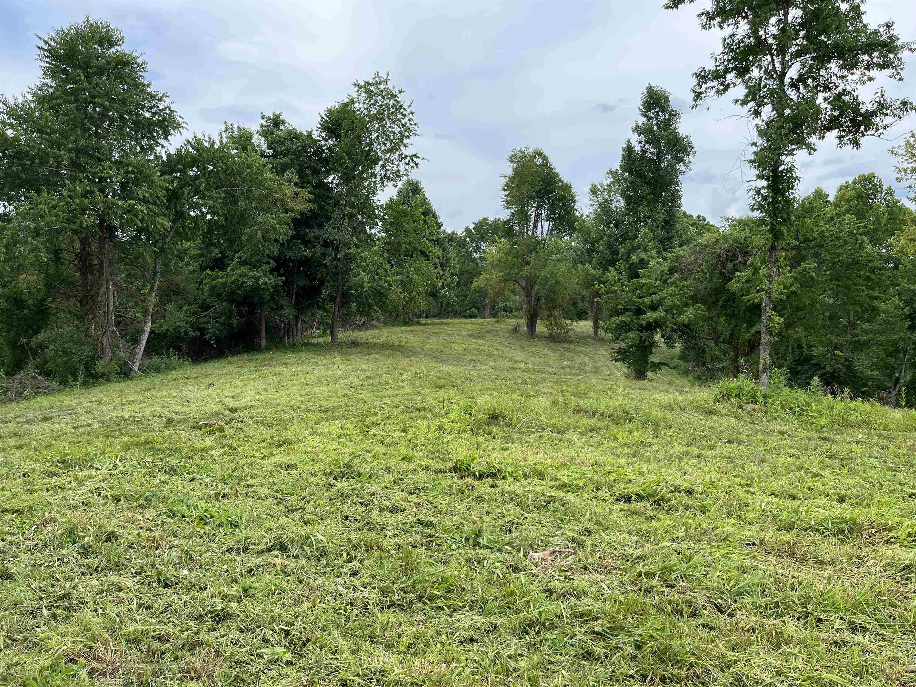1237 Clay Jack Road Rush, KY 41168 - Photo 6 of 14 Gallery Image 6