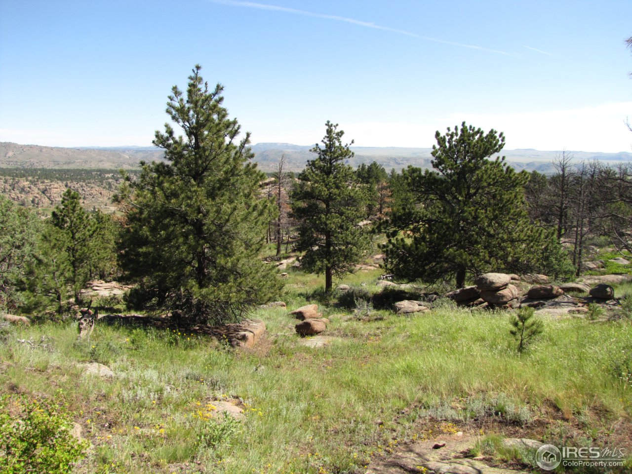 0 Cherokee Meadows Road Livermore, CO 80536 - Photo 1 of 23 Gallery Image 1