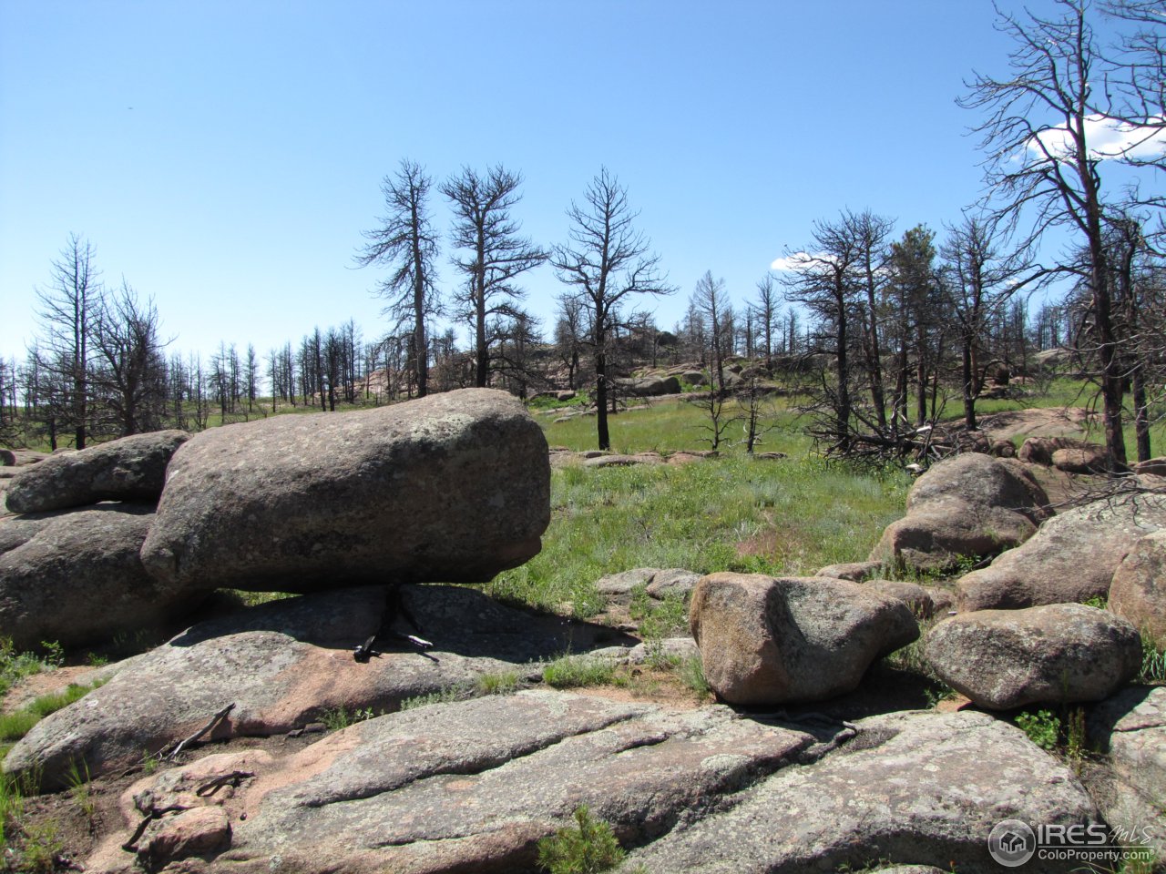 0 Cherokee Meadows Road Livermore, CO 80536 - Photo 15 of 23 beautiful outcroppings