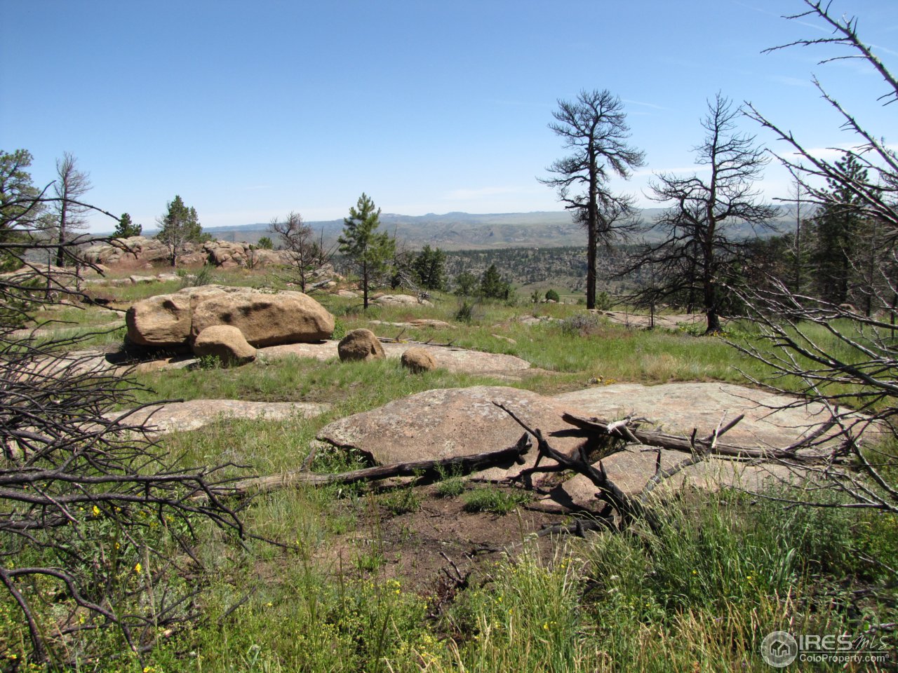 0 Cherokee Meadows Road Livermore, CO 80536 - Photo 18 of 23 Gallery Image 18