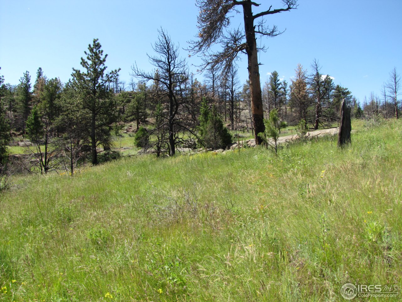 0 Cherokee Meadows Road Livermore, CO 80536 - Photo 19 of 23 another building site
