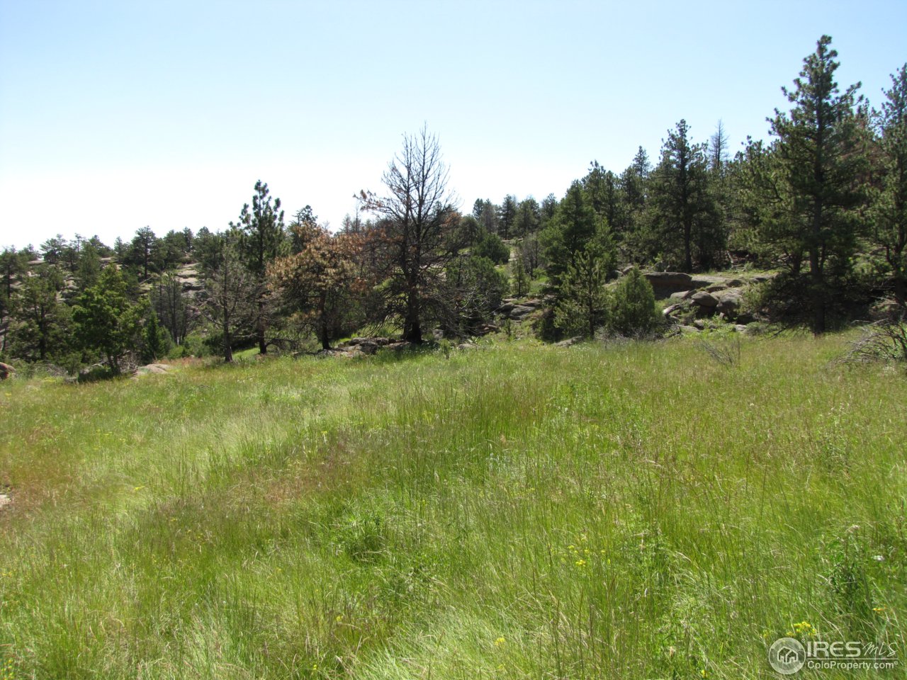 0 Cherokee Meadows Road Livermore, CO 80536 - Photo 20 of 23 Gallery Image 20