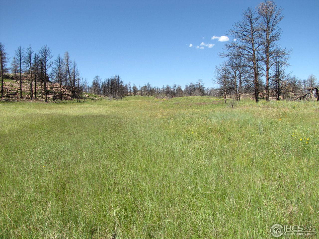 0 Cherokee Meadows Road Livermore, CO 80536 - Photo 2 of 23 Gallery Image 2