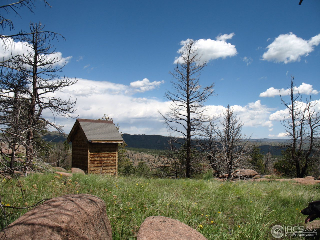0 Cherokee Meadows Road Livermore, CO 80536 - Photo 21 of 23 Small building on property
