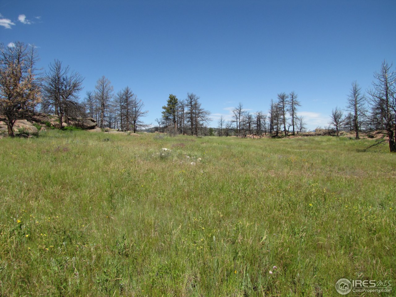 0 Cherokee Meadows Road Livermore, CO 80536 - Photo 8 of 23 Gallery Image 8