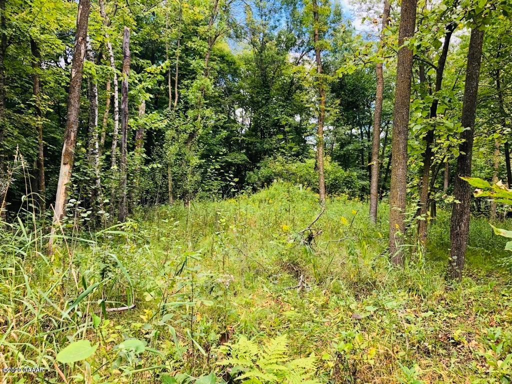 Xx Bluffs Road Northwest Alexandria, MN 56308 - Photo 1 of 1 Gallery Image 1