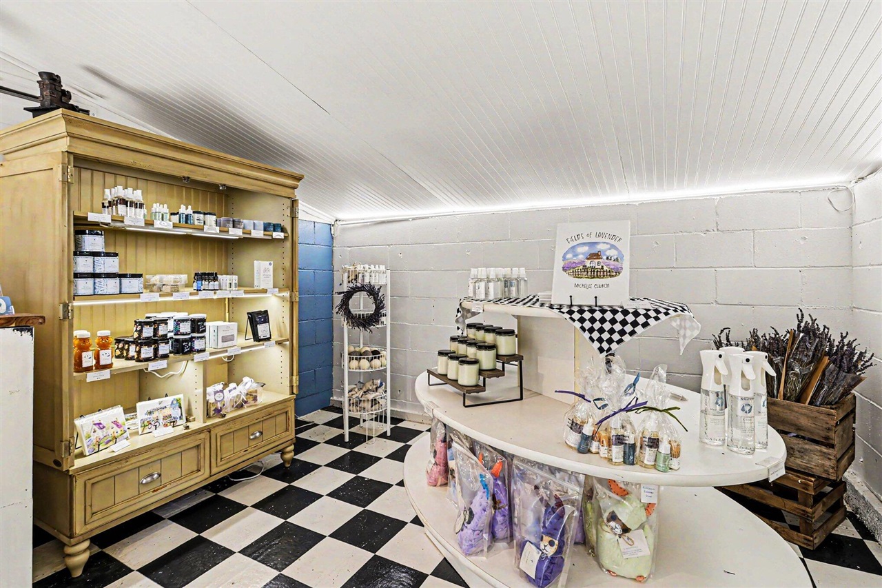 2175 East Hinchman Road Berrien Springs, MI 49103 - Photo 29 of 62