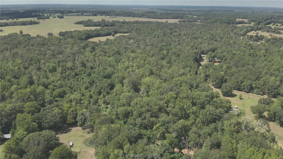 134 Bocaregra Road Leona, TX 75850 - Photo 10 of 13 Gallery Image 10
