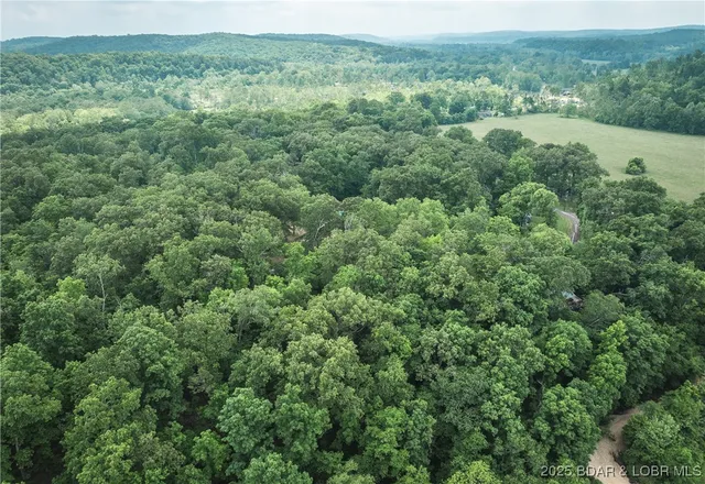 $45,000 | 882 Wayne 459, Piedmont, MO 63957