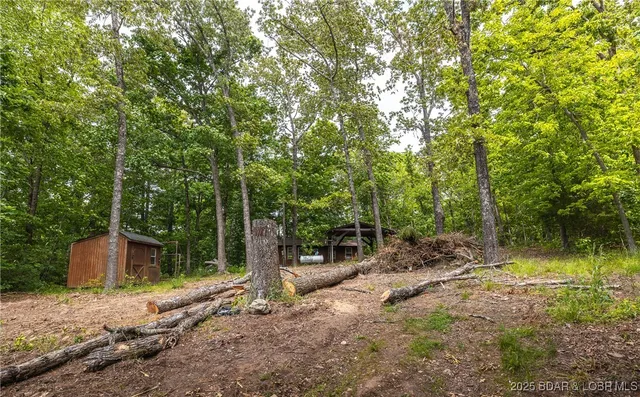 $45,000 | 882 Wayne 459, Piedmont, MO 63957