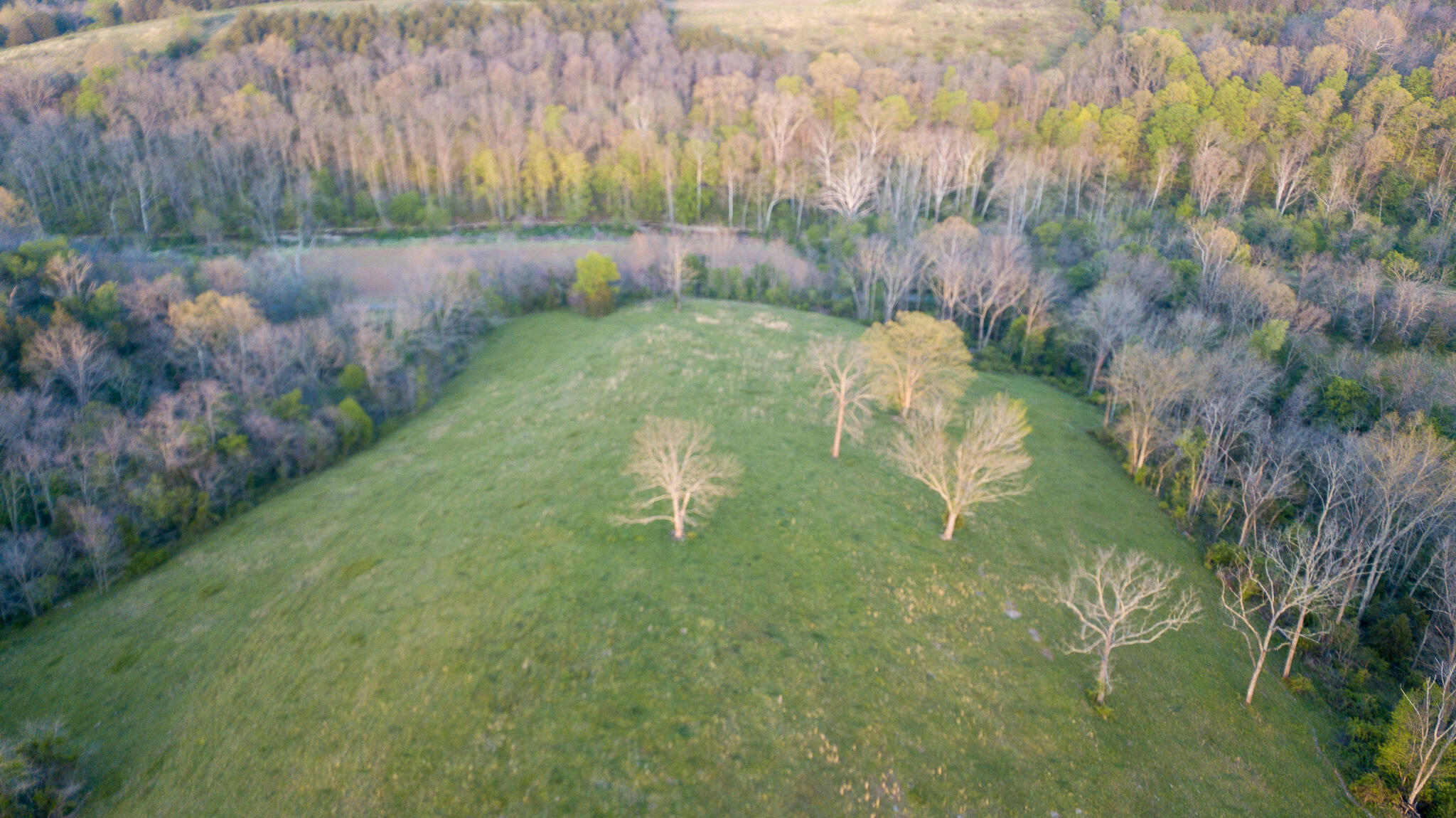 1 A Bethel Road Moorefield, KY 40350 - Photo 18 of 20 DJI_0237