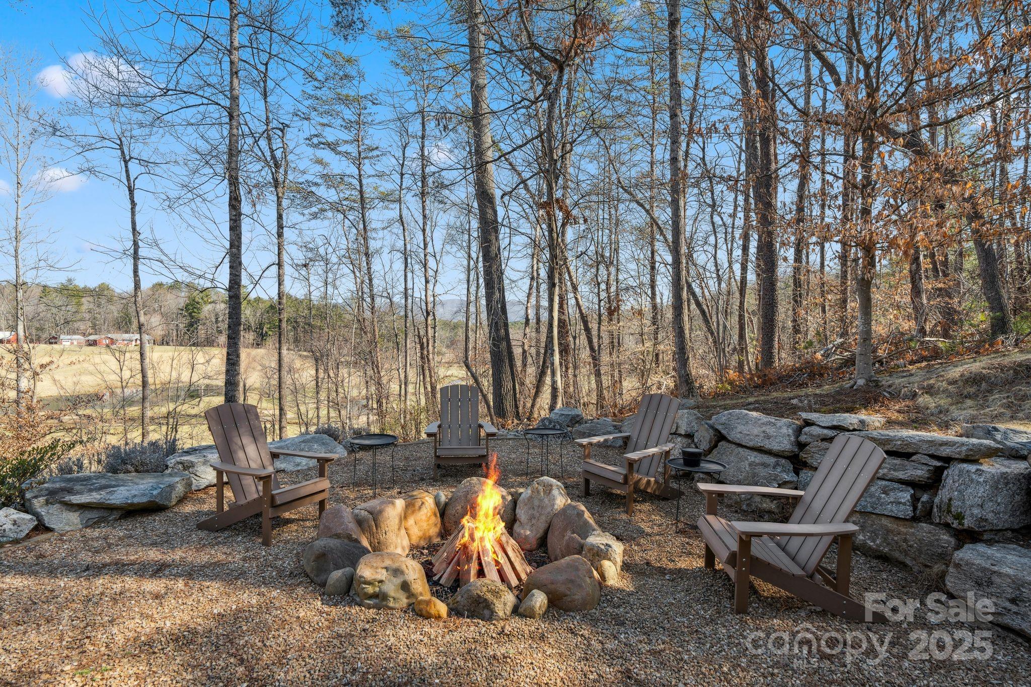 2142 Riceville Road Asheville, NC 28805 - Photo 44 of 48 Gallery Image 44