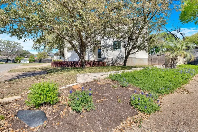 a view of a yard with plants and trees