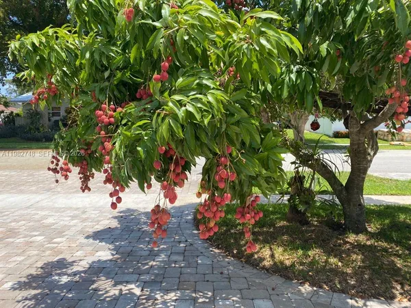 $8,900 | 1251 Southwest 11th Terrace, Boca Raton, FL 33486