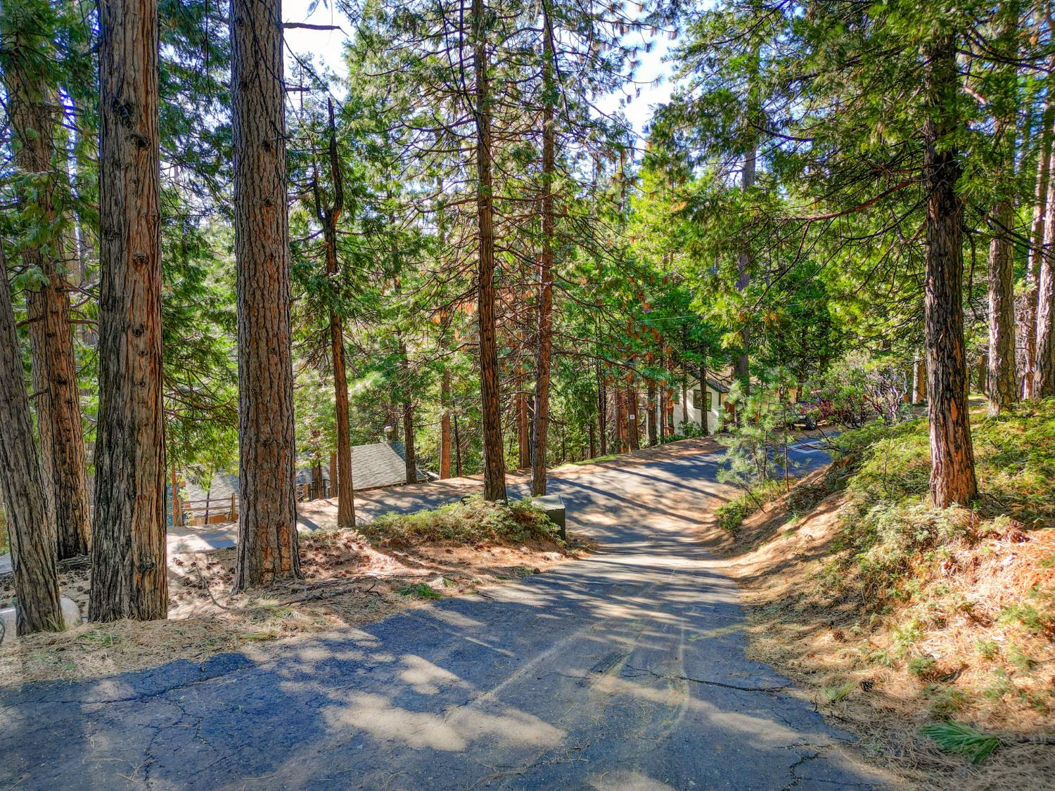 1883 Kit Carson Circle Arnold, CA 95223 - Photo 42 of 47