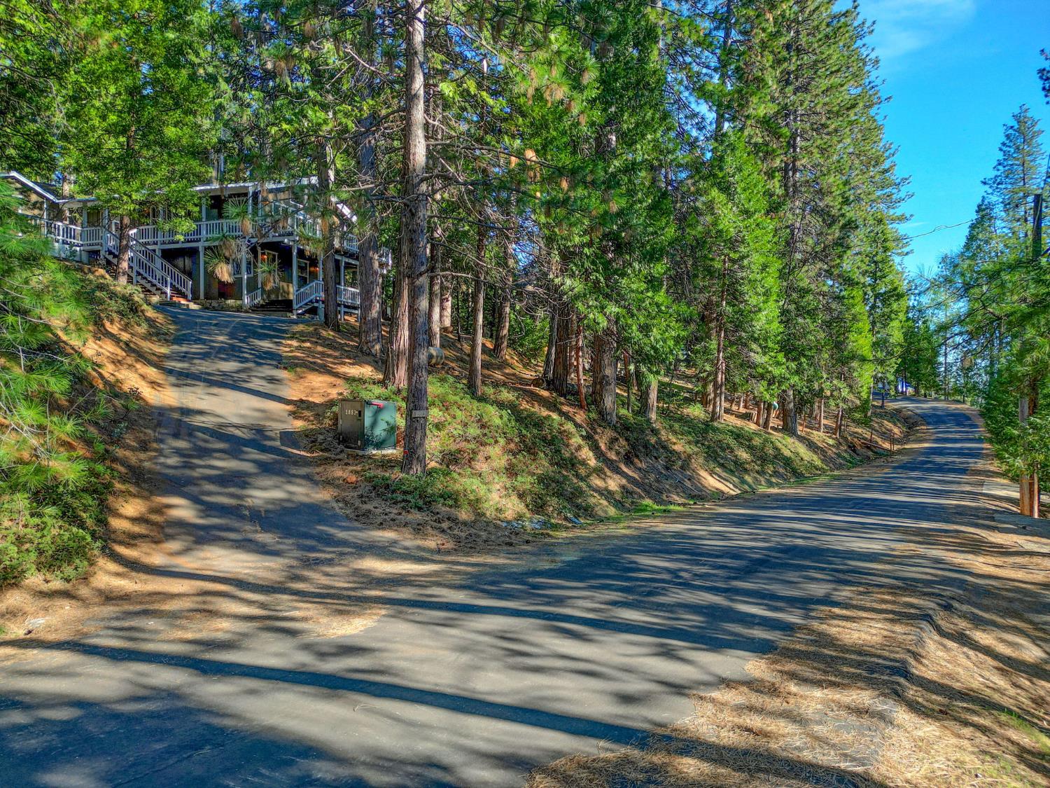 1883 Kit Carson Circle Arnold, CA 95223 - Photo 44 of 47