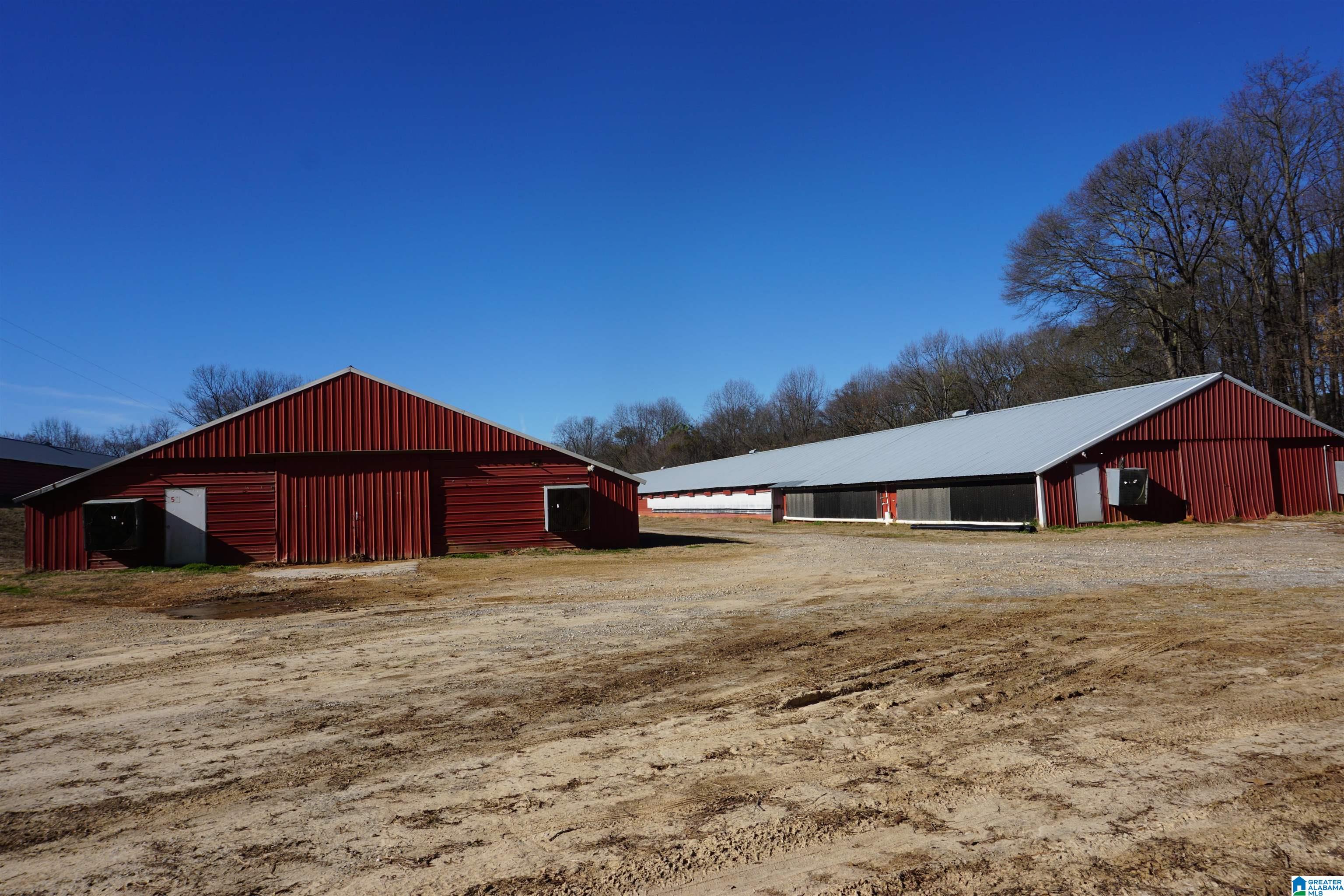 10171 County Road 87 Roanoke, AL 36274 - Photo 32 of 42