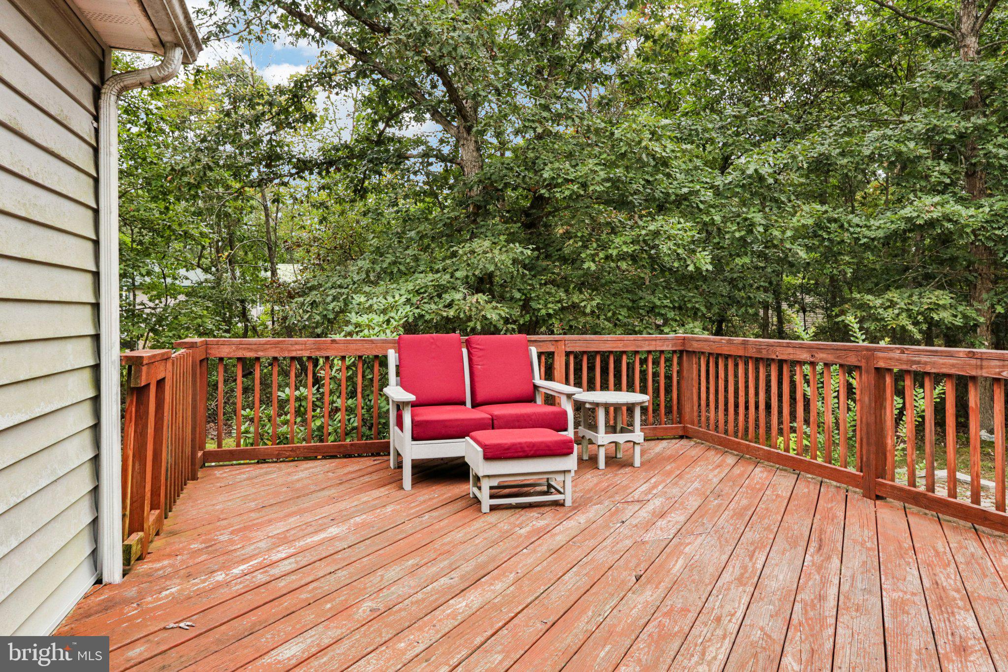 297 Factory Road Cedarville, NJ 08311 - Photo 86 of 121 Gallery Image 86