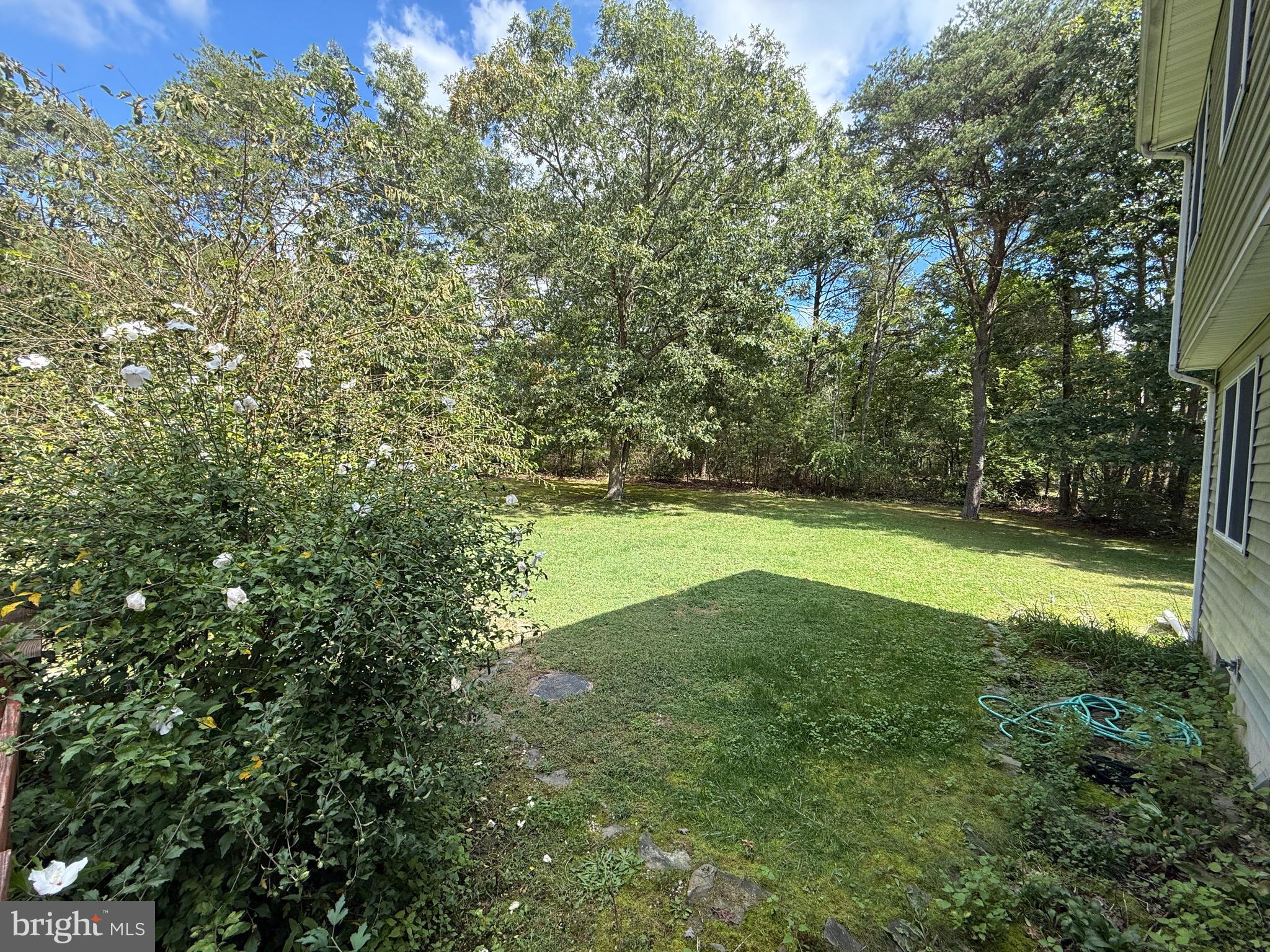 297 Factory Road Cedarville, NJ 08311 - Photo 97 of 121 Gallery Image 97