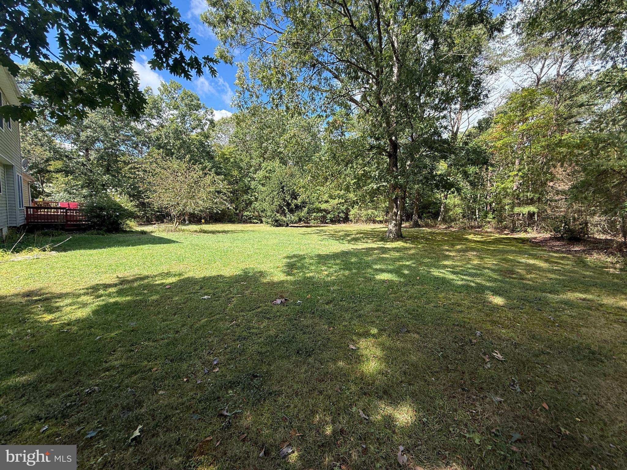 297 Factory Road Cedarville, NJ 08311 - Photo 98 of 121 Gallery Image 98