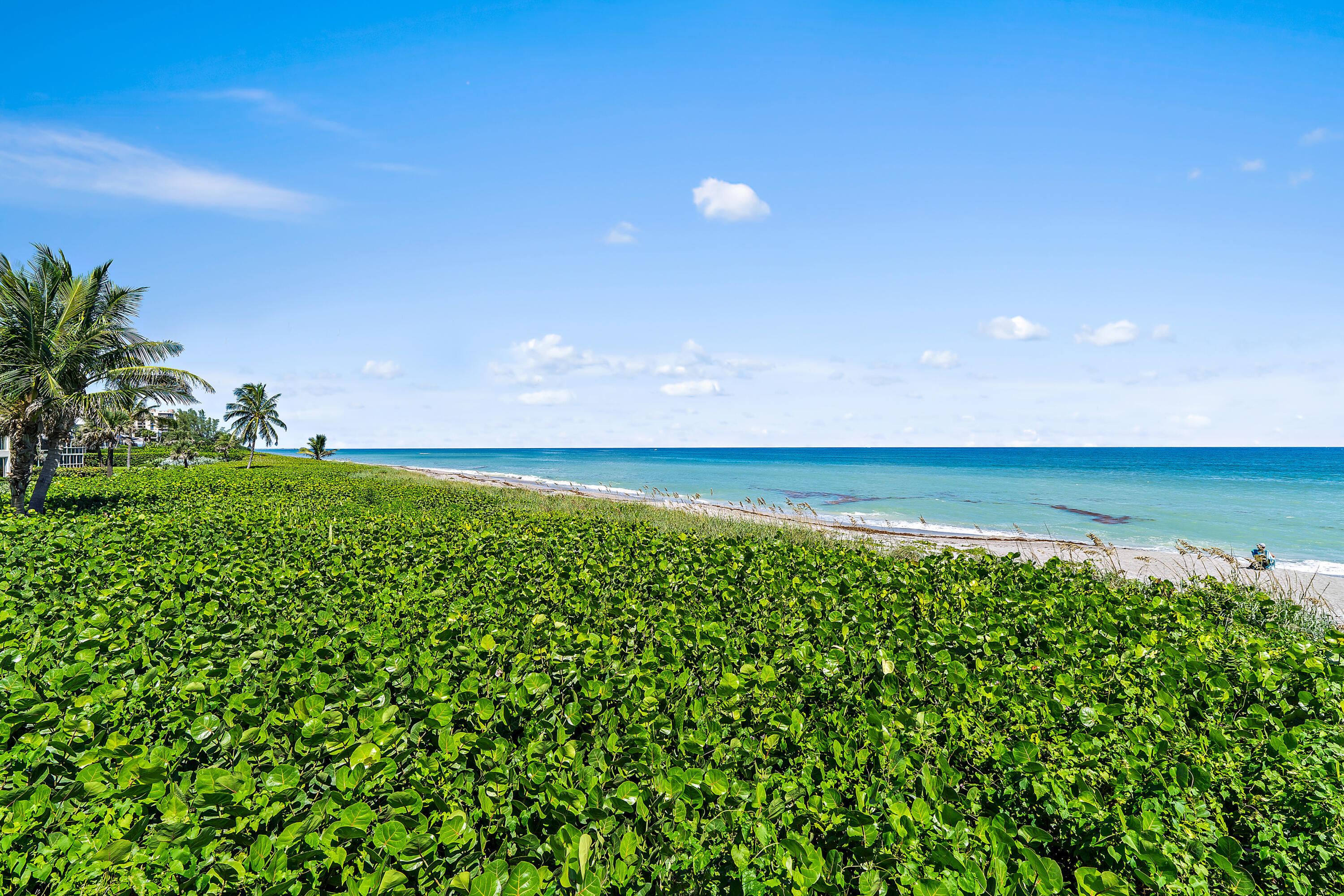 50 Celestial Way, Unit 310 Juno Beach, FL 33408 - Photo 29 of 33 a view of yard with swimming pool and outdoor seating