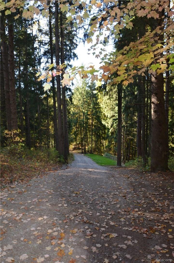 PICTURE PERFECT PRIVATE ROAD