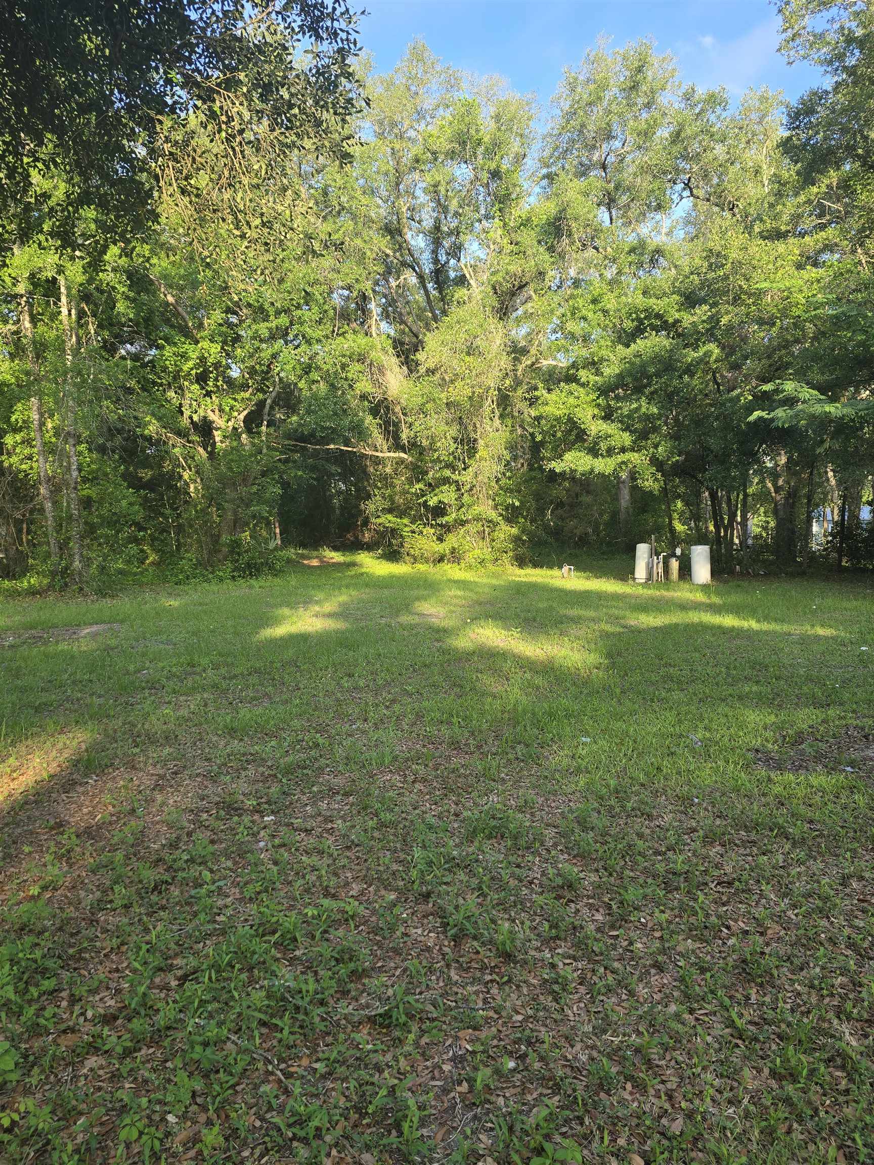 3319 Vera Lane Perry, FL 32347 - Photo 15 of 16
