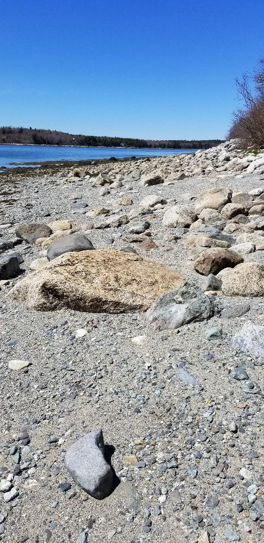 341 Flye Point Road Brooklin, ME 04616 - Photo 5 of 27 larkin4