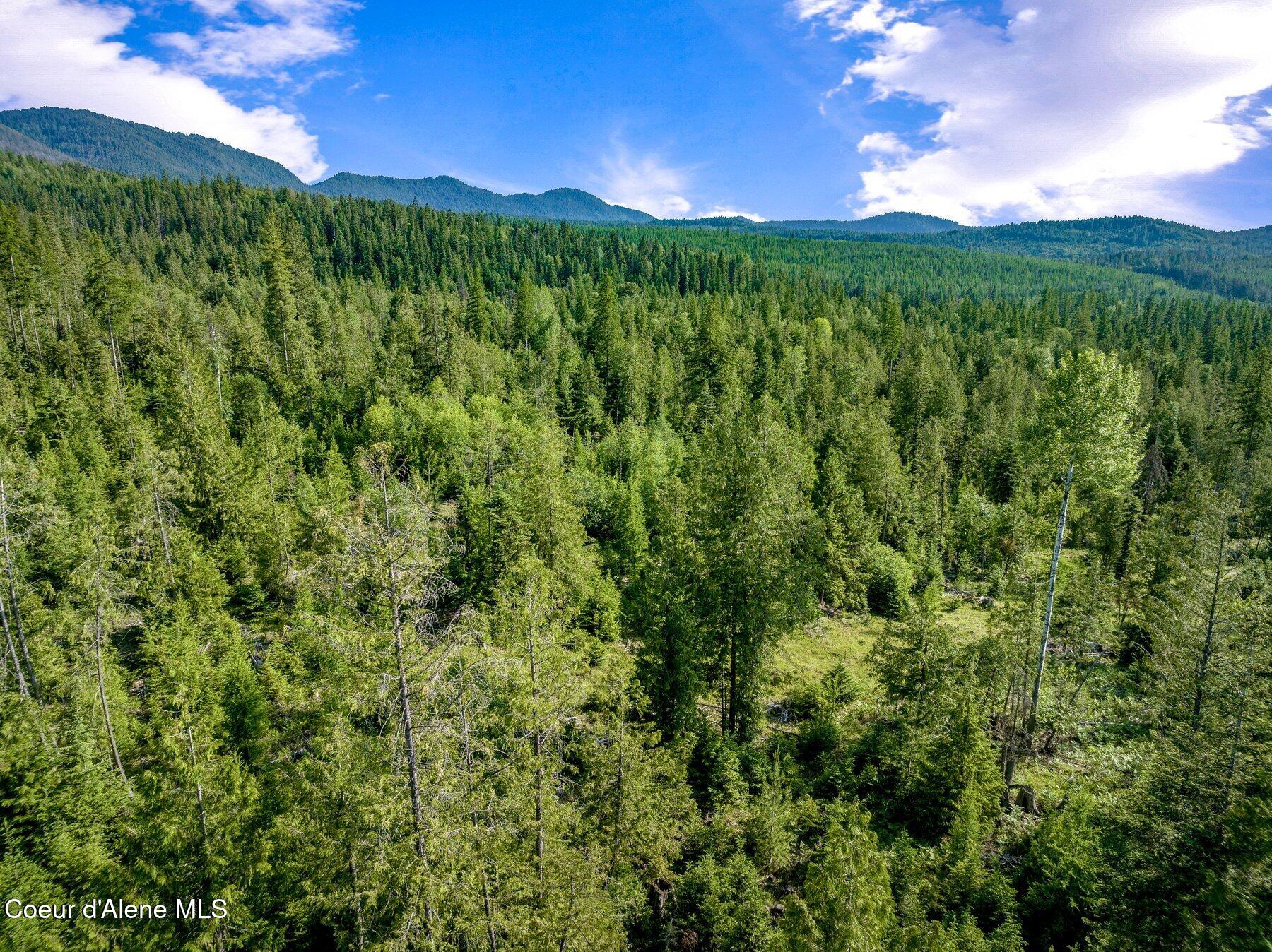 245 Barbary Trail Sandpoint, ID 83864 - Photo 11 of 15 --45.jpg-SMALL