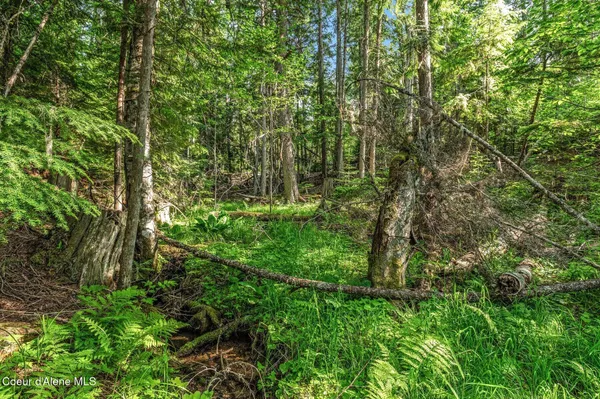 $299,000 | 245 Barbary Trail, Sandpoint, ID 83864