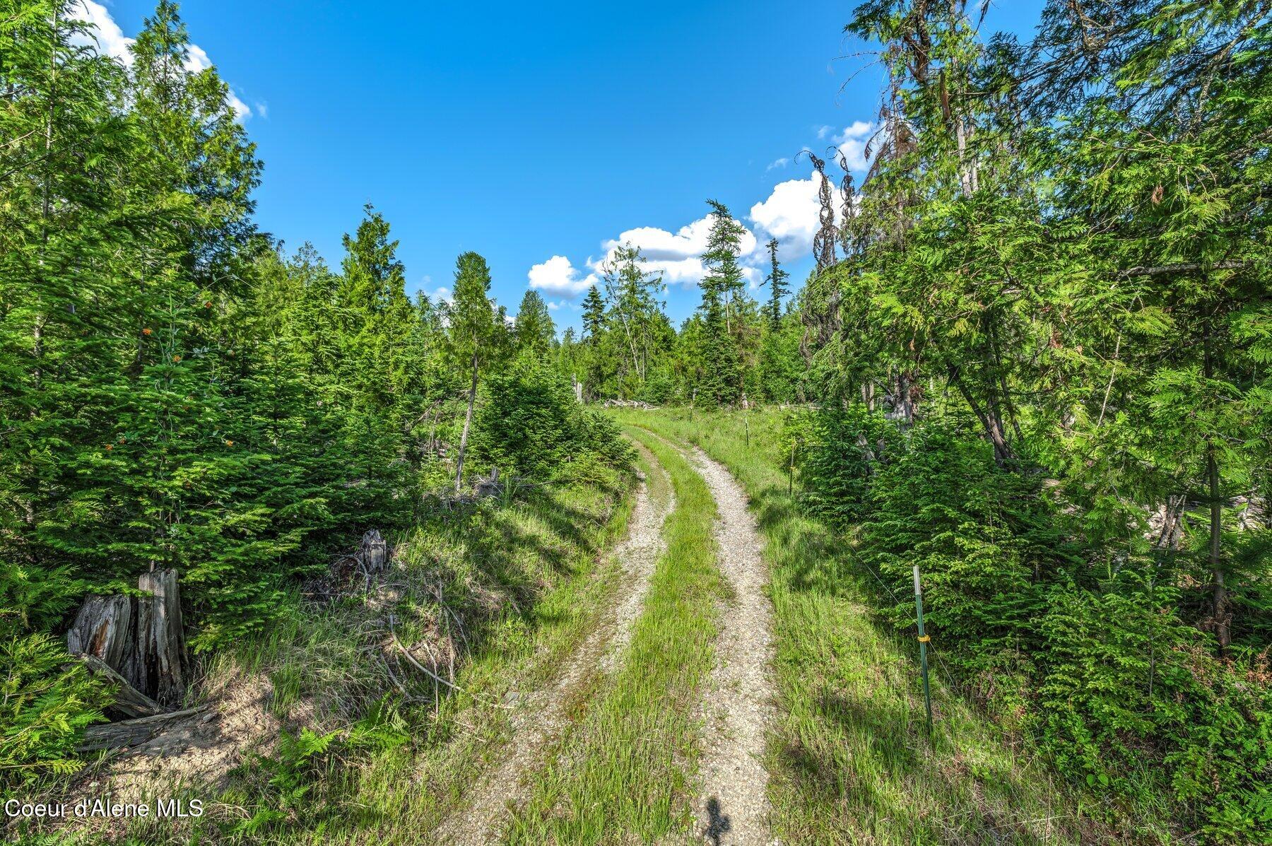 245 Barbary Trail Sandpoint, ID 83864 - Photo 2 of 15 --15.jpg-SMALL
