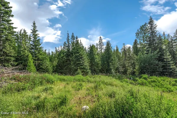 $299,000 | 245 Barbary Trail, Sandpoint, ID 83864