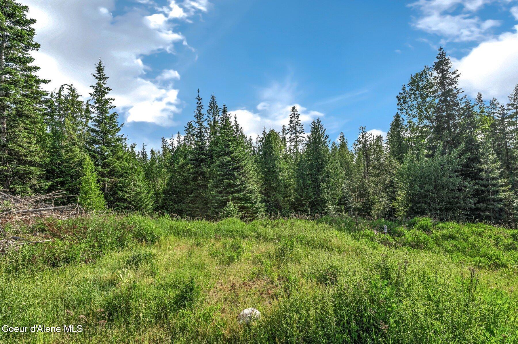 245 Barbary Trail Sandpoint, ID 83864 - Photo 3 of 15 --14.jpg-SMALL