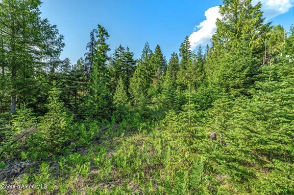 $299,000 | 245 Barbary Trail, Sandpoint, ID 83864