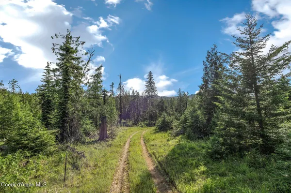 $299,000 | 245 Barbary Trail, Sandpoint, ID 83864