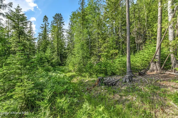 $299,000 | 245 Barbary Trail, Sandpoint, ID 83864