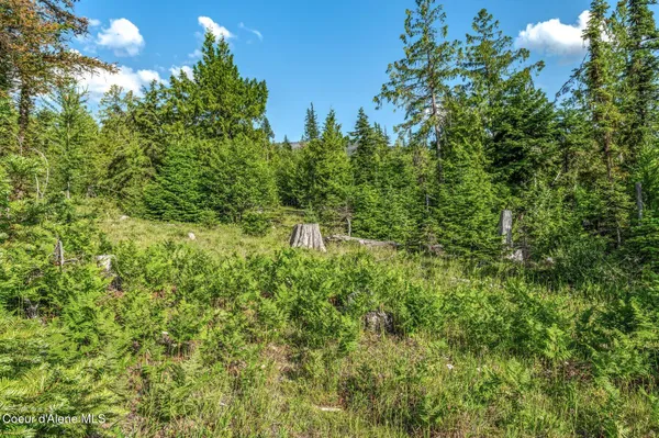 $299,000 | 245 Barbary Trail, Sandpoint, ID 83864