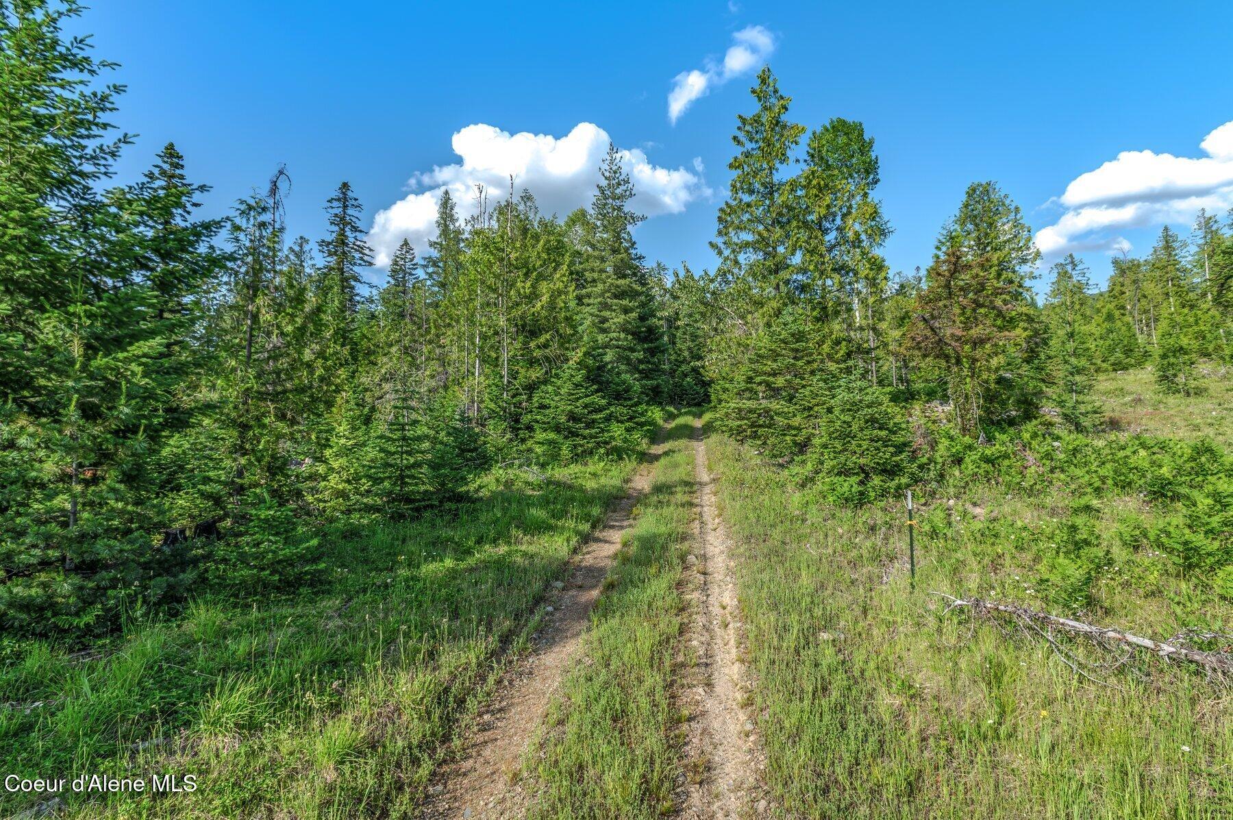 245 Barbary Trail Sandpoint, ID 83864 - Photo 8 of 15 --17.jpg-SMALL