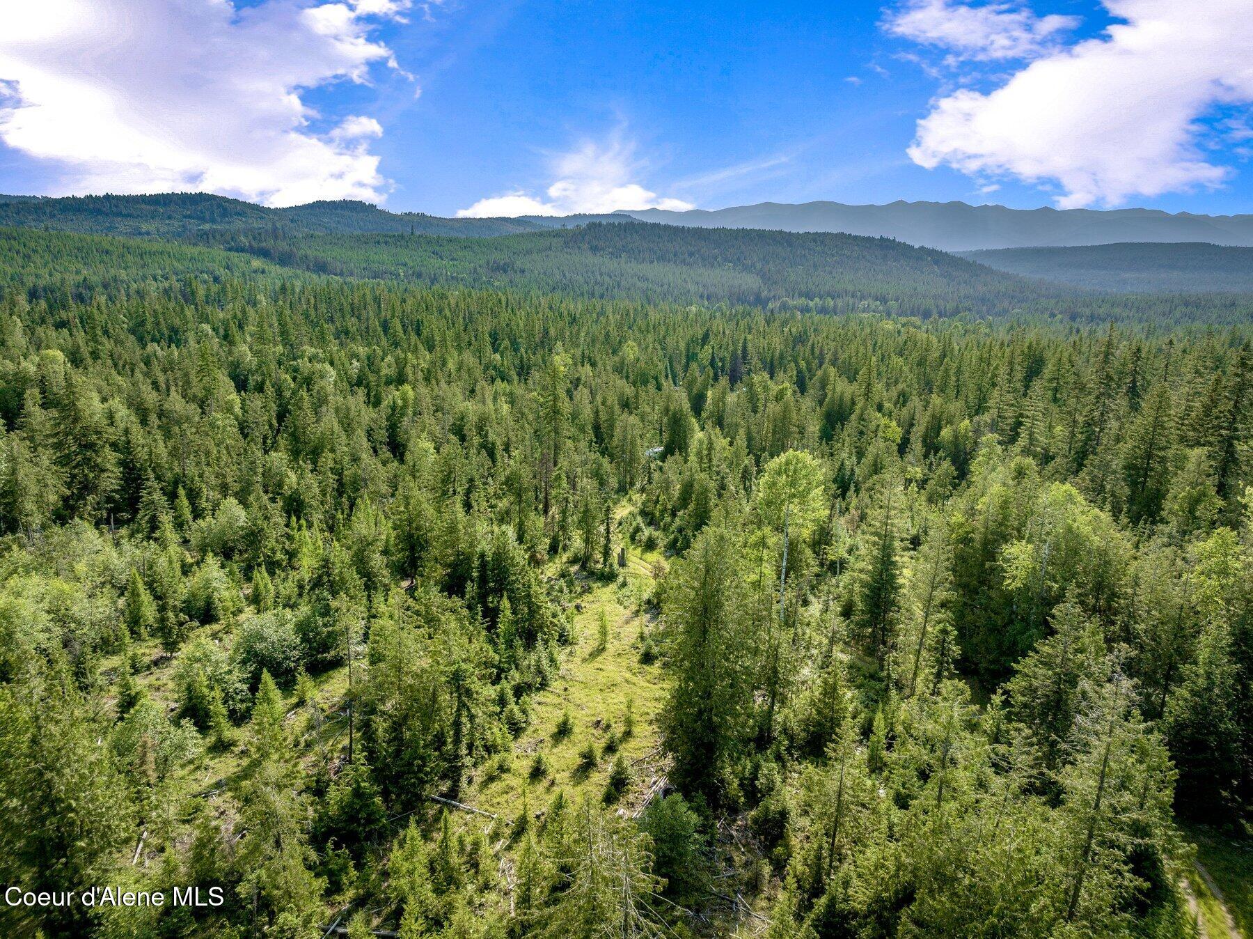 245 Barbary Trail Sandpoint, ID 83864 - Photo 10 of 15 --44.jpg-SMALL