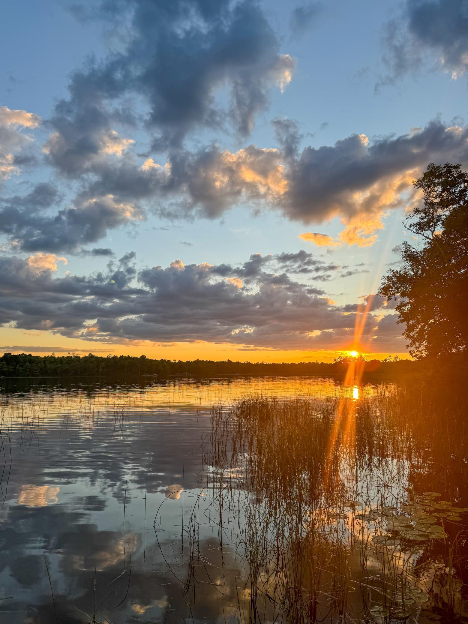 3620 Gryce Styne Road Northeast Bemidji, MN 56601 - Photo 2 of 76