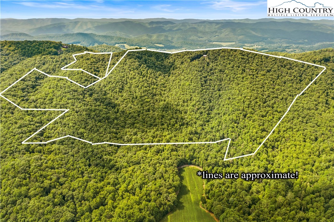 985 Locust Gap Road Vilas, NC 28692 - Photo 1 of 45 Gallery Image 1