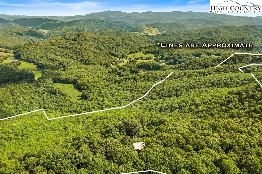 985 Locust Gap Road Vilas, NC 28692 - Photo 2 of 45 Gallery Image 2