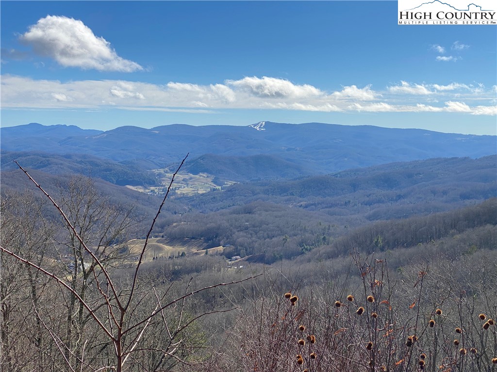 985 Locust Gap Road Vilas, NC 28692 - Photo 24 of 45 Gallery Image 24