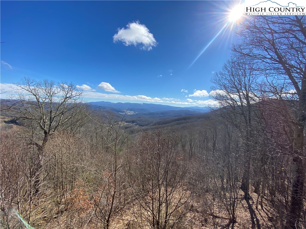 985 Locust Gap Road Vilas, NC 28692 - Photo 25 of 45 Gallery Image 25